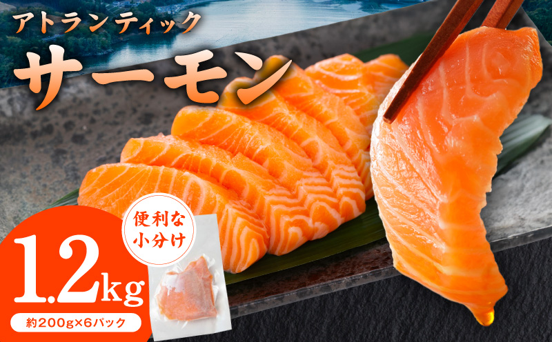アトランティックサーモン 1.2kg【小分け 200g×6P 柵切り 刺身 魚介 海鮮 さーもん 生食】