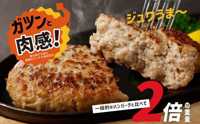 【定期便】黒毛和牛入り BIGハンバーグ（200g×12個）全3回 【毎月配送コース】