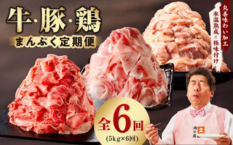 国産 牛肉＆豚肉＆鶏肉 まんぷく 定期便 5kg×6回【氷温熟成×極味付け 3種 食べ比べ 普段使い 味付き 小分け 訳あり サイズ不揃い 】