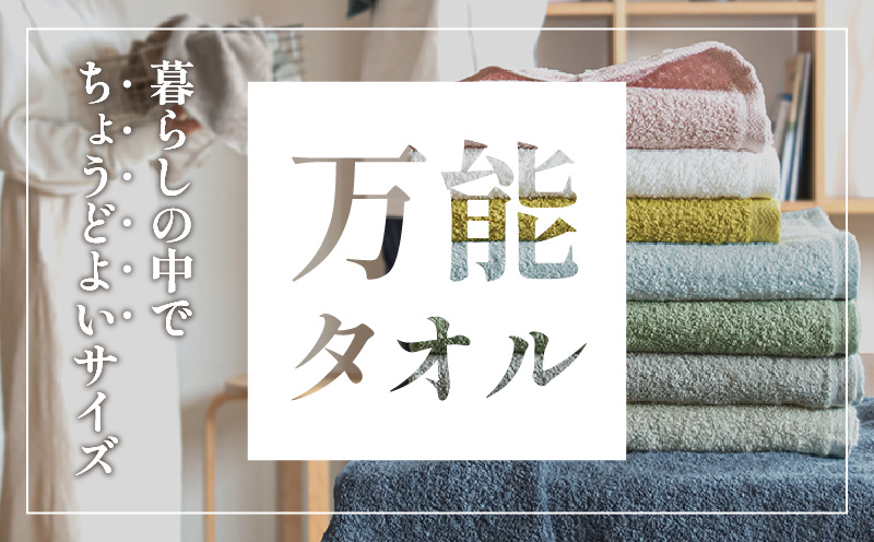 ファミーユ ミニバスタオル 6枚（グレー）【フェイスタオル 以上 バスタオル 未満 泉州タオル 吸水 普段使い シンプル 日用品 たおる】
