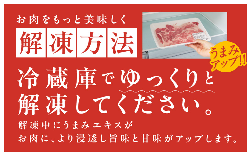 国産牛 切り落とし 600g 小分け 300g×2P【氷温熟成×極味付け 国産 牛肉 訳あり サイズ不揃い カレー 牛丼 野菜炒め 肉じゃが 家計応援】