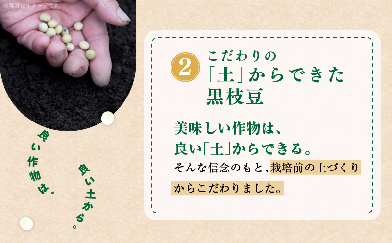 【先行予約】黒枝豆 1.8kg 【新鮮 野菜 泉佐野産 えだまめ やさい TONOファーム 高評価 数量限定 畑から直送 朝採り】