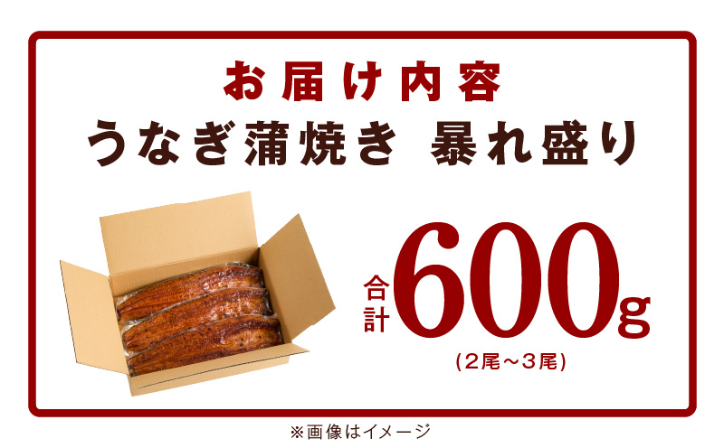 うなぎ 蒲焼き 暴れ盛り 合計 600g【鰻 真空パック 簡単調理 訳あり サイズ不揃い 人気 惣菜 うな重 うな丼 ひつまぶし にも】