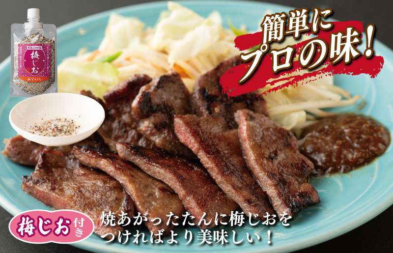 ååã ãããã å³ä»ã çãã 500g æ¢
å¡©ä»