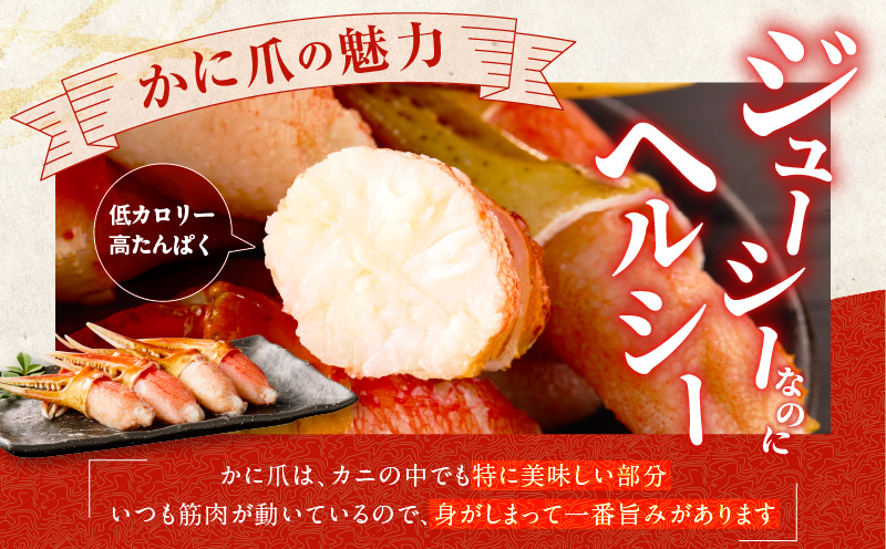 【高評価】本ズワイ蟹 爪肉 500g カット済み（2-3人前）【2Lサイズ ボイル ずわいがに カニ 海鮮 訳あり サイズ不揃い 規格外 かに鍋】 