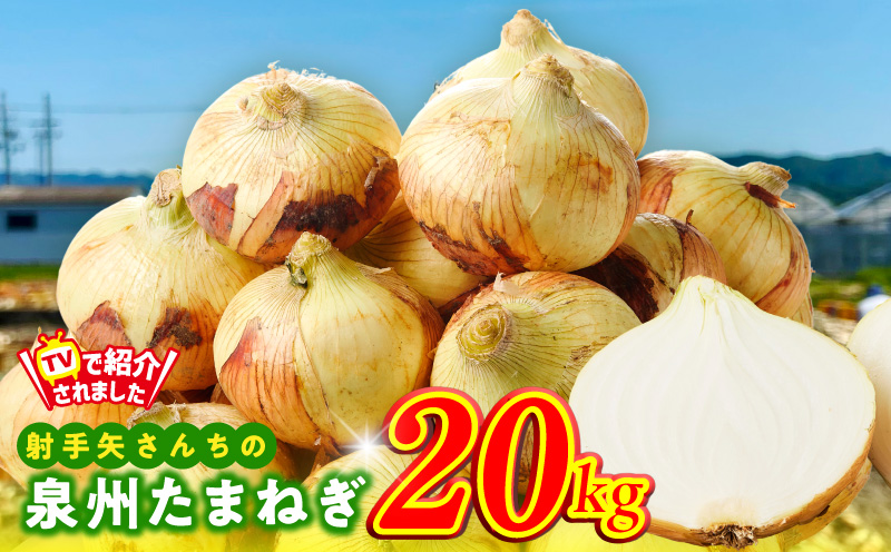 泉州たまねぎ 20kg 玉ねぎ 射手矢農園【タマネギ 玉葱 甘い 野菜 国産 期間限定 オニオン スライス サラダ カレー シチュー バーベキュー BBQ 肉じゃが 大阪 泉佐野 大阪府 泉佐野市】