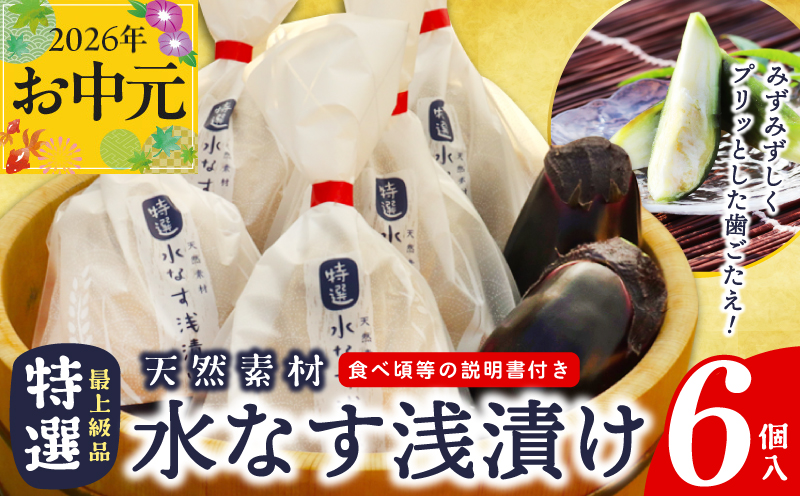 【お中元対応】 「特選最上級品」天然素材水なす浅漬け6個入