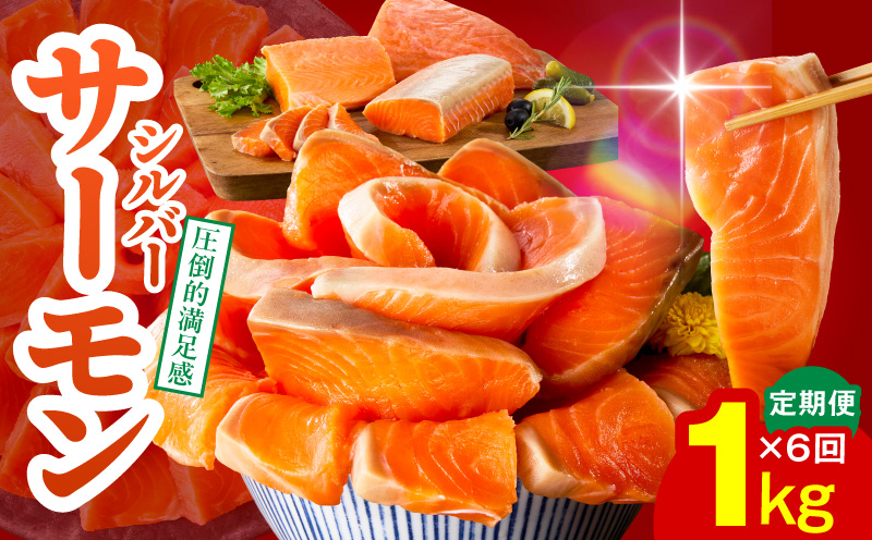 サーモン 定期便 1kg×全6回【ポーション 訳あり サイズ不揃い 刺身 海鮮丼 さーもん サラダ カルパッチョ 鮭 さけ シャケ しゃけ 人気 小分け 冷凍 家計応援】
