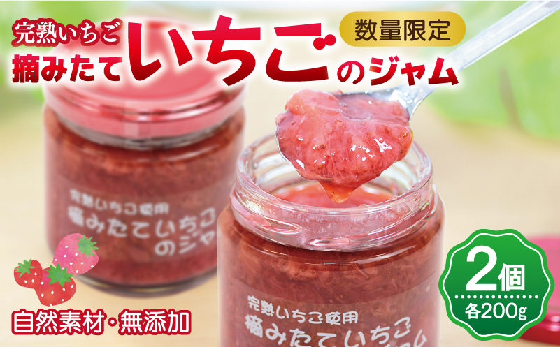 【先行予約】完熟朝摘みいちごのジャム【苺 無添加 自然素材 フルーツ イチゴ 高評価 数量限定】
