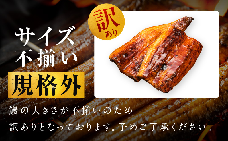 ã7/26åçšã®äžã®æ¥ãããªã æŽãçã 250gïŒ2ã«ããïŒãèŠæ Œå€ ã詊ã é°» ãã°çŒã ç°¡å調ç èš³ãã ãµã€ãºäžæã äººæ° æ£è ããªé ããªäžŒ ã²ã€ãŸã¶ãã