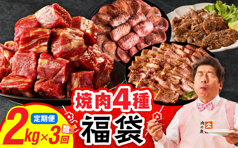 焼肉 福袋 4種セット 定期便 2kg×3回【氷温熟成×特製ダレ 食べ比べ 小分け 500g 牛肉 牛タン ヒレ ハラミ バラ 数量限定 毎月配送コース】