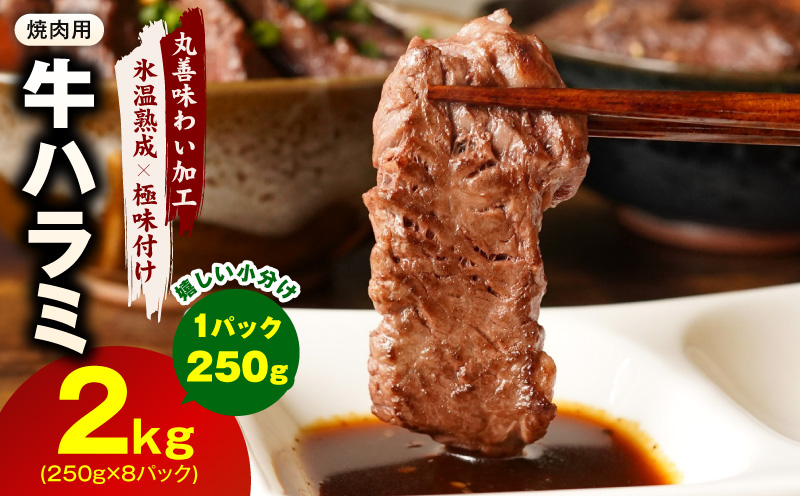 【氷温熟成×極味付け】牛肉 ハラミ 2kg（250g×8P）