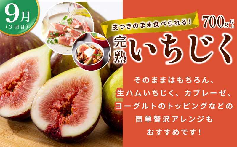 【定期便】泉州TONOファームが贈る定期便 野菜とフルーツの旬の味リレー【7月〜10月発送 水ナス トウモロコシ 枝豆 いちじく 茄子 とうもろこし 豆 イチジク なす 新鮮 泉州 やさい フルーツ】