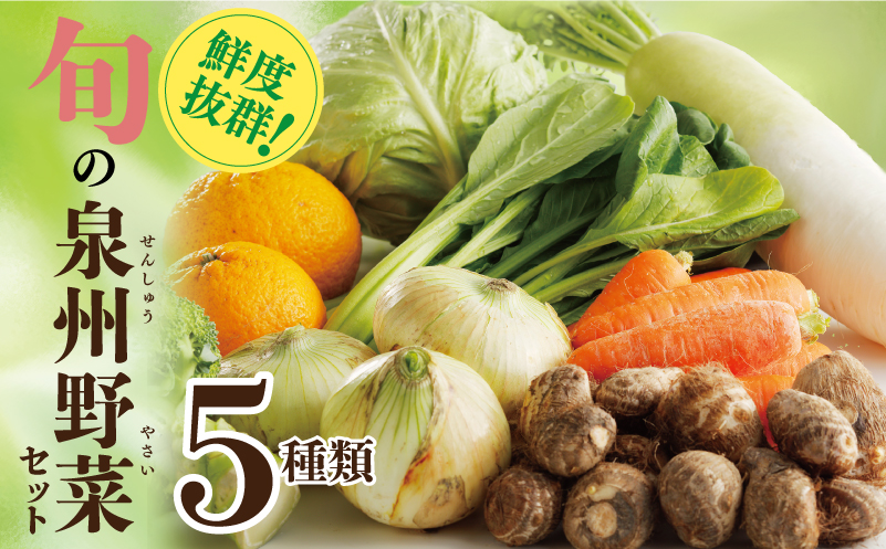 旬の野菜セット 詰め合わせ 5種類 国産 新鮮 お試し おまかせ お楽しみ