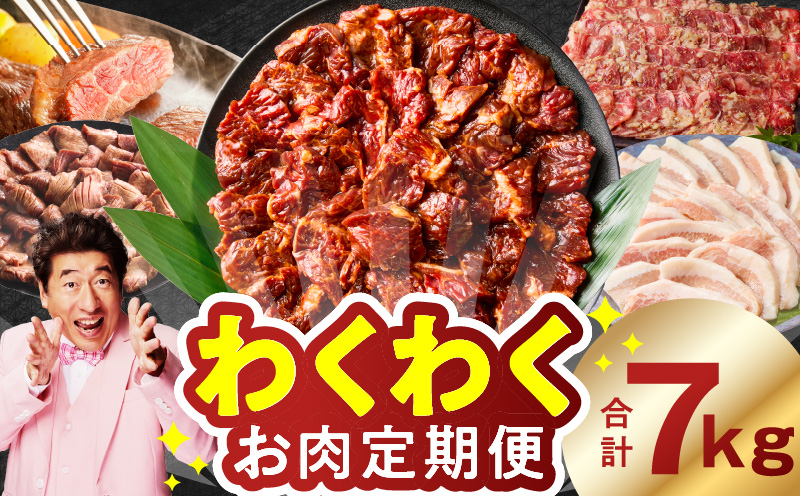 わくわくお肉定期便 全6回 合計7kg【ハラミ 牛たん 豚トロ 焼肉 BBQ やきにく ファミリー 定期便 大阪 泉佐野 大阪府 泉佐野市】