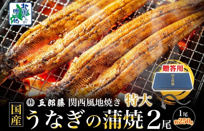 【贈答用】五郎藤 関西風地焼き 国産有頭旨鰻 250g×2尾 計約500g 特大 うなぎ ウナギ 蒲焼き 炭火