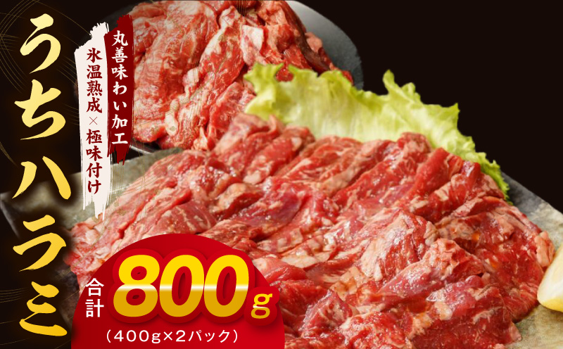 【氷温熟成×特製ダレ】希少部位 牛肉 うちハラミ 800g（400g×2）
