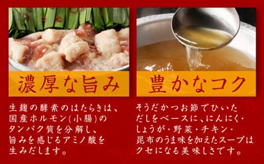 牛もつ鍋セット 12人前【国産 牛肉 ホルモン 塩こうじ スープ付き モツ 鍋 高評価 冷凍 鍋セット 簡単調理】