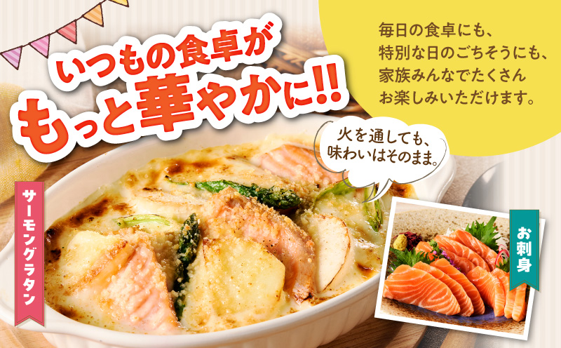 アトランティックサーモン 600g+ちりめん山椒150g【小分け ポーション 柵切 ちりめん 刺身 魚介 海鮮 さーもん 生食 お試し 大阪 泉佐野 大阪府 泉佐野市】
