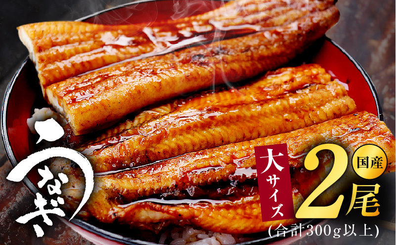 倧ãµã€ãº åœç£ããªã 2å°Ÿ åèš300g以äž