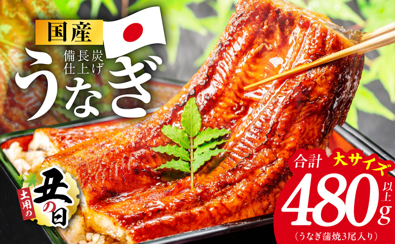 【土用の丑の日】国産うなぎ蒲焼 480g以上（大サイズ3尾）【レンチン 湯煎対応 簡単調理 鰻 ウナギ 人気総菜 日本産 特別規格】