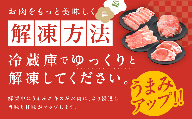 【定期便】国産 豚肉 4種 総量 1.2kg×3回【氷温熟成×極味付け 300g×4P 小分け ぶたにく 普段使い 野菜炒め】