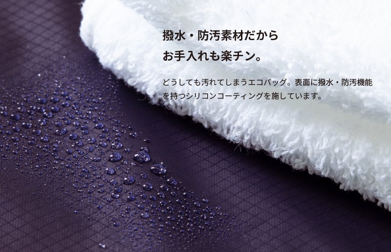 ãã¹ããŒãçºéããšã³ããã° Regileã¬ãžã«ïŒã°ã¬ãŒïŒ