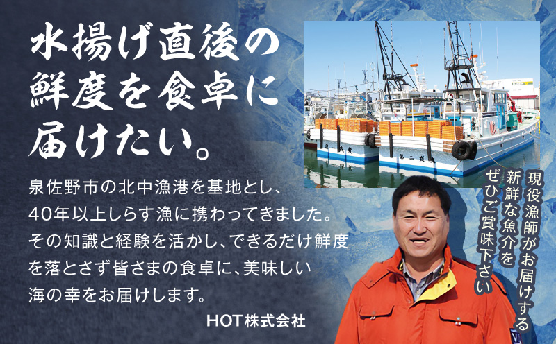 サーモン カマ 300g（約6切れ）【カマ 尻尾 小分け 海鮮 魚介 鮭 さけ しゃけ】