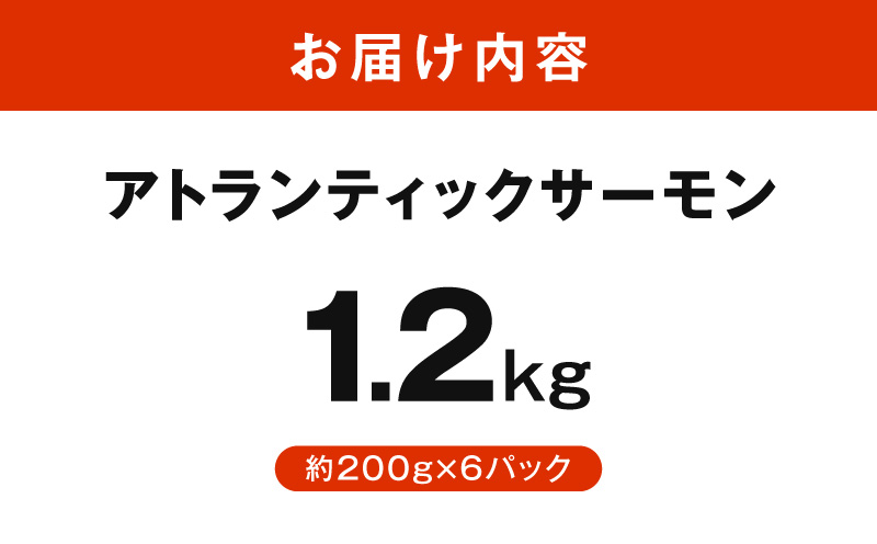 アトランティックサーモン 1.2kg【小分け 200g×6P 柵切り 刺身 魚介 海鮮 さーもん 生食】