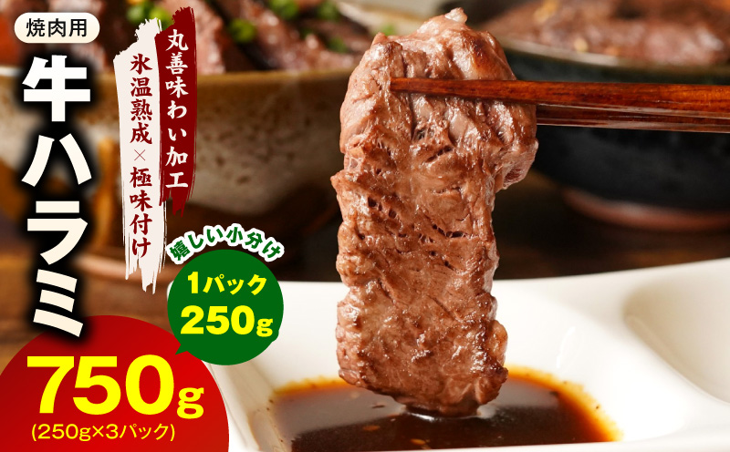 牛肉 ハラミ 750g 小分け 250g×3P【氷温熟成×極味付け 牛肉 訳あり 不揃い 焼肉 BBQ 野菜炒め】