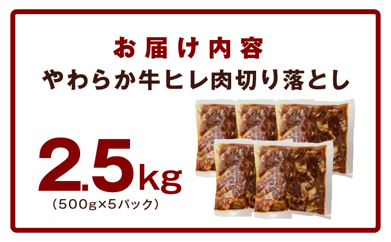 ãããã çãã¬è åãèœãšã 2.5kgãå°åã 500gÃ5P æ°·æž©çæÃç¹è£œã㬠ãµã€ãºäžæã ã¹ããŒã ã²ãšå£ãµã€ãº ã«ããæžã¿ã