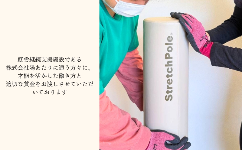 【LPN社製】ストレッチポールEX アイボリー【正規品 セルフケア ストレッチ エクササイズ 腰痛 肩こり 体幹 コアトレ】