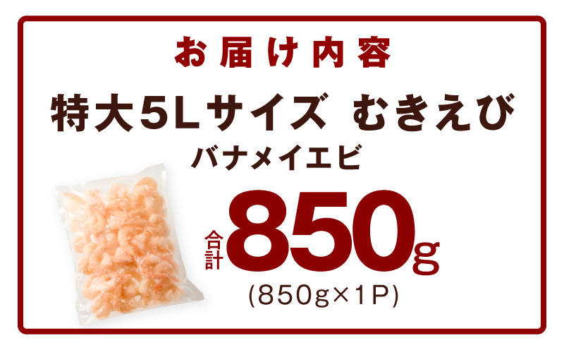 ãããã³ ã詊ã 850g ç¹å€§5Lãµã€ãºãäžåŠçäžèŠ å°åã èš³ãã ãµã€ãºäžæã ããã¡ã€ãšã ãã©åçµã