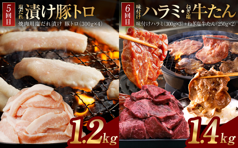 アキラ商店 肉三昧 プレミアム 定期便 全6回【毎月配送コース お楽しみ 焼肉 ていきびん 焼くだけ 小分け BBQ やきにく 数量限定 大阪 泉佐野 大阪府 泉佐野市】