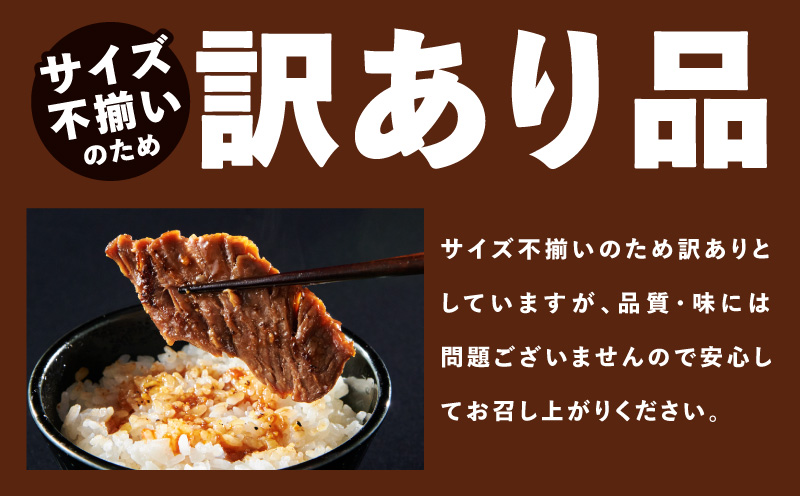ガツめし牛ハラミ 600g　追いダレ漬け【300g×2 ハラミはらみ 牛はらみ 牛肉 訳アリ 不揃い 小分け 大阪 泉佐野 大阪府 泉佐野市】