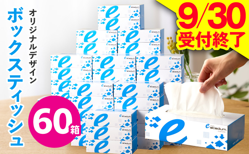 【9/30受付終了】ボックスティッシュ 60箱×400枚（200組）【生活用品 雑貨 日用品 必需品 紙 常備品 まとめ買い 備蓄 防災 ティッシュペーパー てぃっしゅ ティッシュ eスポーツ応援 泉佐野市オリジナル 大阪 泉佐野 大阪府 泉佐野市】