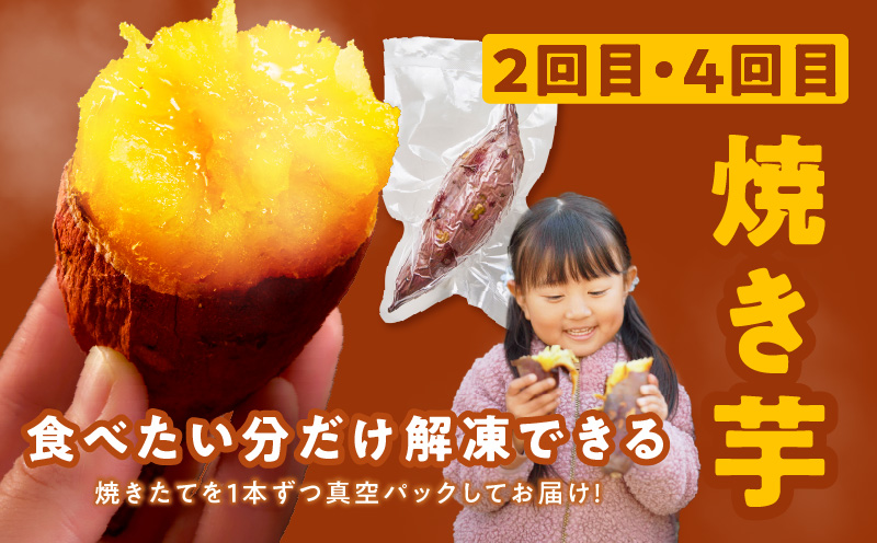 【定期便】干し芋 600g/焼き芋1kg 全4回 交互便【ほしいも 芋 いも 無添加 紅はるか 干しいも おやつ サツマイモ さつまいも】