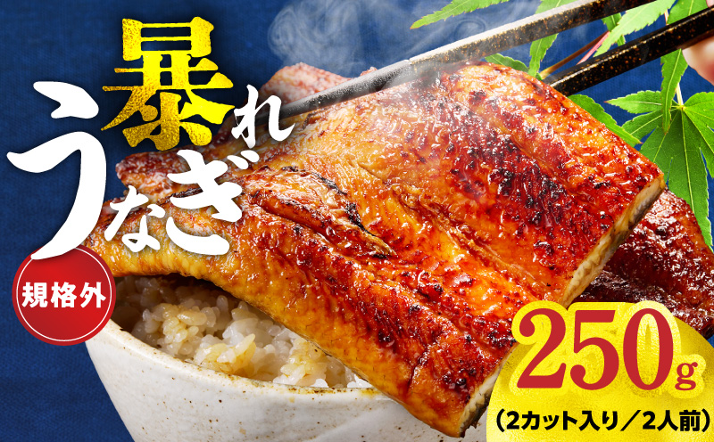 【規格外】うなぎ 暴れ盛り 250g（2カット）【お試し 鰻 かば焼き 簡単調理 訳あり サイズ不揃い 人気 惣菜 うな重 うな丼 ひつまぶし 大阪 泉佐野 大阪府 泉佐野市】