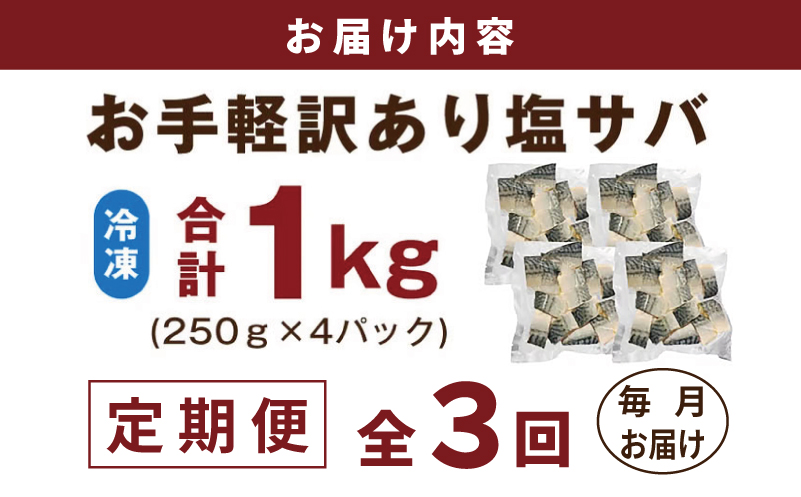 【定期便】塩さば 1kg（250g×4P）全3回【お弁当サイズ 生活応援 サバ 小分け 青魚 塩鯖 塩サバ 切身 塩焼き 焼きさば 焼き鯖 人気 冷凍 冷凍食品 おかず 惣菜 訳あり サイズ不揃い 大阪 泉佐野 大阪府 泉佐野市】
