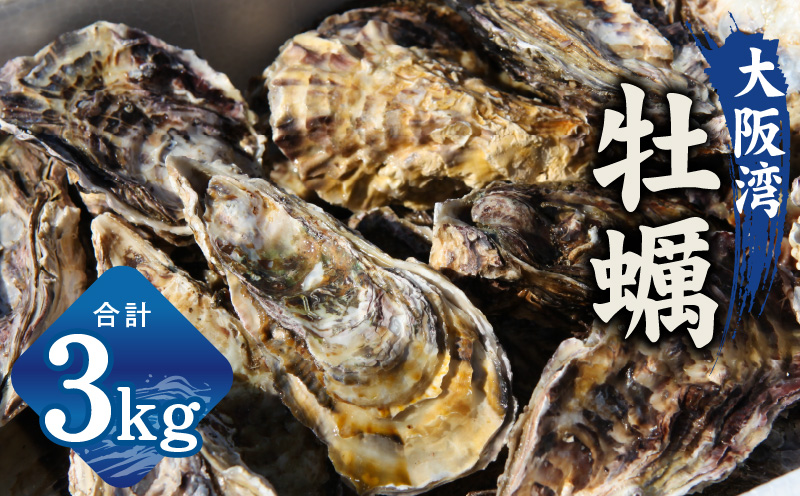牡蠣 3kg【先行予約 かき カキフライ 冷凍 加熱用 殻付き 魚介類 海鮮 大阪湾 産地直送】