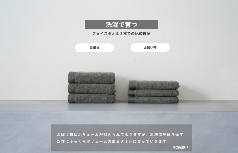 ロイヤルバスタオル ホワイト2枚セット【日本製 泉州タオル 吸水 日用品 たおる 敏感肌】