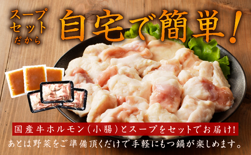【定期便】牛もつ鍋セット 9人前 全3回【毎月配送コース 国産 牛肉 ホルモン 塩こうじ スープ付き モツ 鍋 高評価 冷凍 鍋セット 簡単調理】