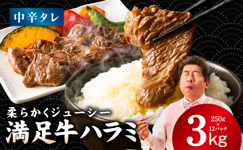 【満足牛ハラミ】中辛タレ漬け 合計3kg 【味付け ハラミ 小分け 焼くだけ 簡単調理 BBQ 牛肉 250g×12P】