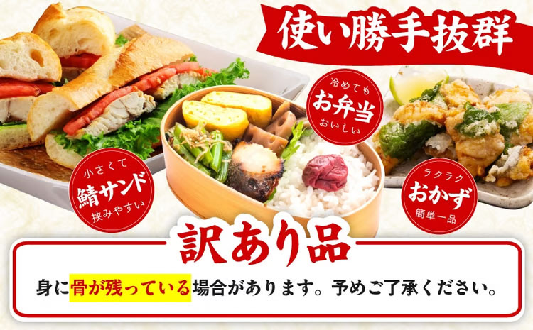 【定期便】塩さば 1kg（250g×4P）全6回【お弁当サイズ 生活応援 サバ 小分け 青魚 塩鯖 塩サバ 切身 塩焼き 焼きさば 焼き鯖 人気 冷凍 冷凍食品 おかず 惣菜 訳あり サイズ不揃い 大阪 泉佐野 大阪府 泉佐野市】