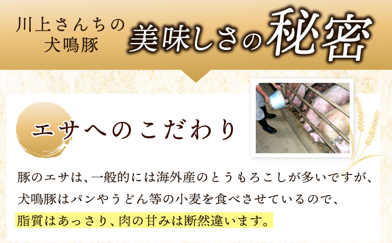 ãæ³äœéãã©ã³ãè±ãç¬é³Žè±é€å 75åïŒæäœããã¬ãã¢ã ãã³ããŒã°ïŒ10åå
¥ãïŒ å
š2åãåœç£ è±è ã¶ãã«ã å®æäŸ¿ é£ã¹æ¯ã¹ ç¬é³ŽããŒã¯ çŒãã ã äººæ° ç·è å·åã