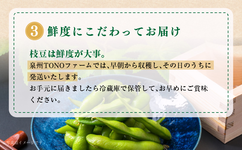 【先行予約】黒枝豆 1.8kg 【新鮮 野菜 泉佐野産 えだまめ やさい TONOファーム 高評価 数量限定 畑から直送 朝採り】