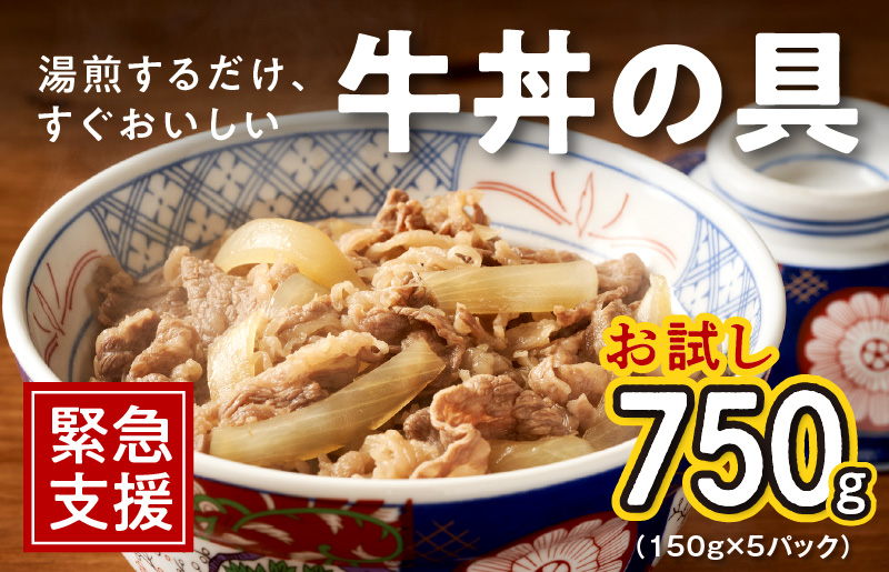 005A441 牛丼の具 お試し 750g（150g×5）湯煎 簡単調理 緊急支援|JALふるさと納税|JALのマイルがたまるふるさと納税サイト