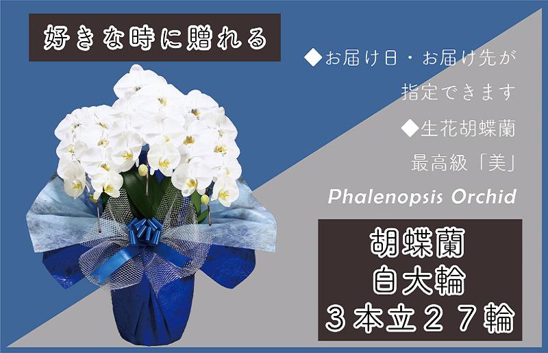 3本立て 胡蝶蘭 27輪〜30輪 白色【木製大型木札 または メッセージカード 付き ラッピング お祝い ギフト 贈答 贈り物 プレゼント 生花 花 農福連携】