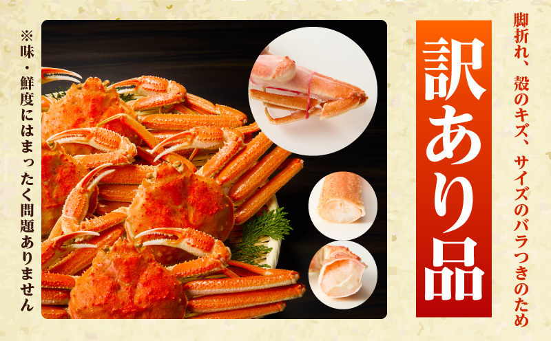 【訳あり規格】バルダイ種 ズワイガニ姿 1.5kg（2〜5尾）【ボイル済み オオズワイガニ かに カニ 蟹 ズワイガニ ファミリー向け】