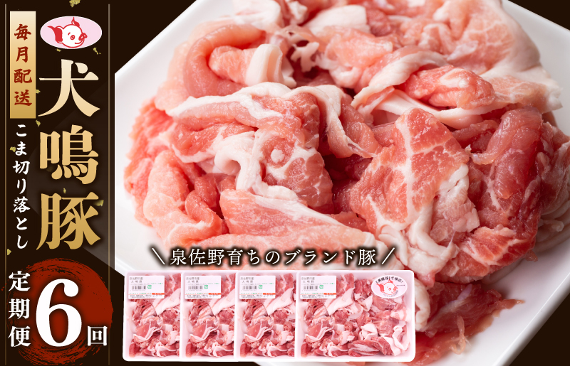 【泉佐野ブランド豚】犬鳴豚の小間切り落とし 1.4kg（約350g×4パック）×6回 総量8.4kg【国産 豚肉 ぶたにく 定期便 犬鳴p−九 小分け 普段使い】